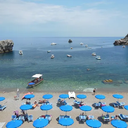 Il Delfino